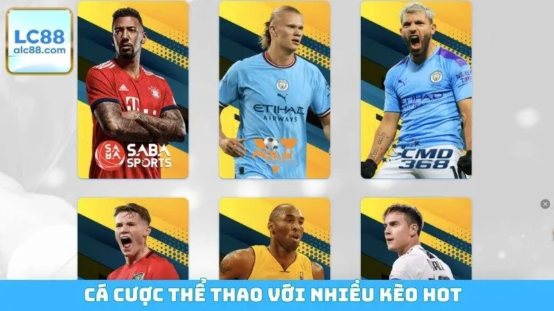 Cá cược thể thao với nhiều kèo hot